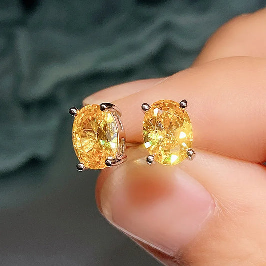Curve Glam™ Stylish Earrings – Women’s Fashion Earrings